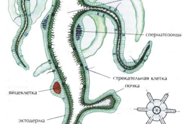Кракен маркет это