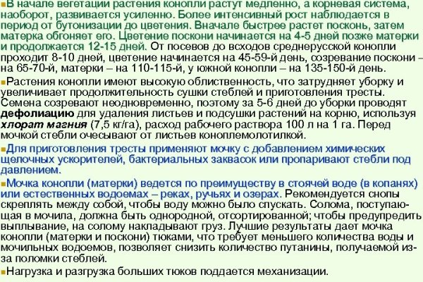 Kraken сайт вход