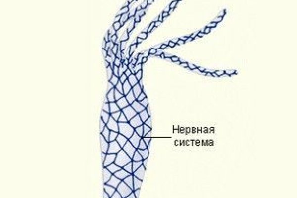 Сайт кракена актуальный