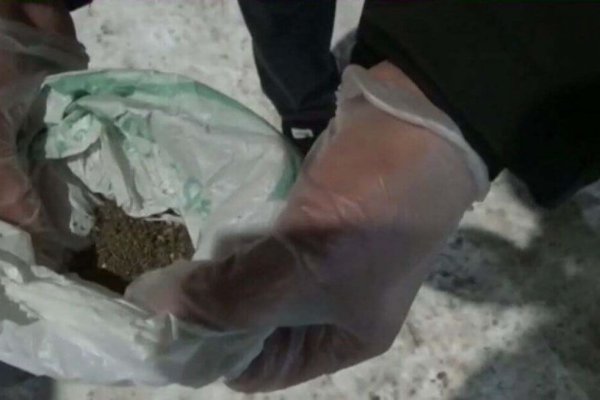 Кракен ссылка прокатис