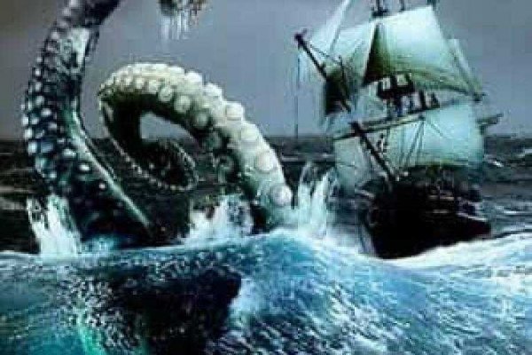 Kraken19 at