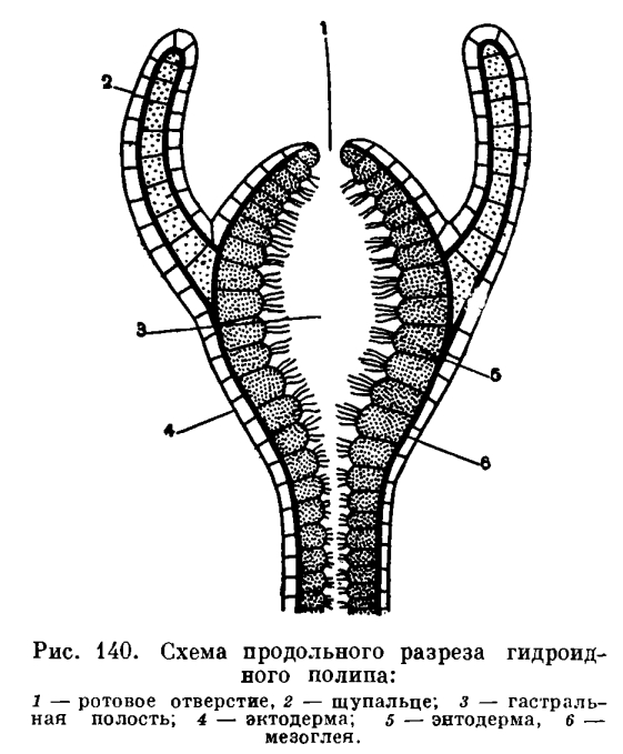 Ссылки мега кракен