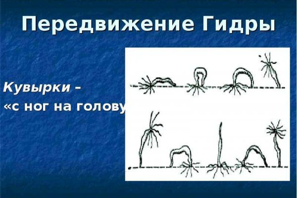 Актуальная ссылка на кракен