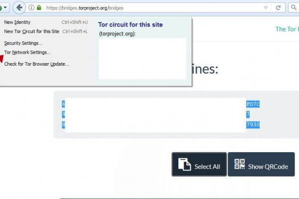 Найти зеркало кракена