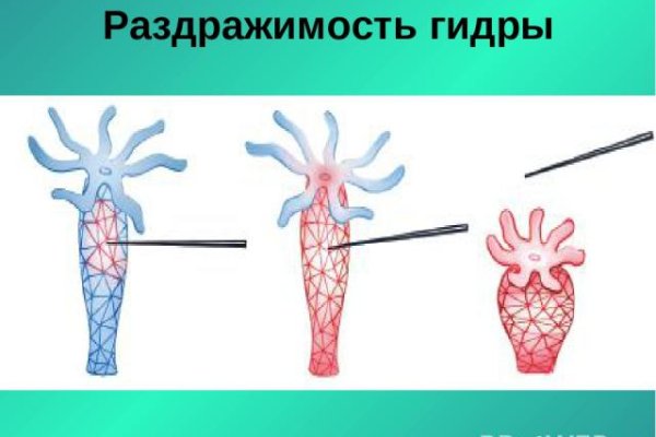 Какая ссылка на кракен