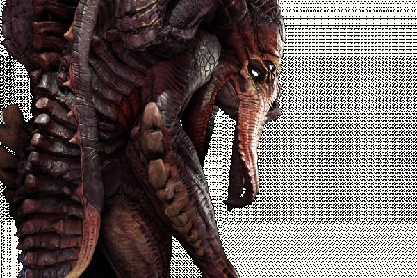 Kraken site