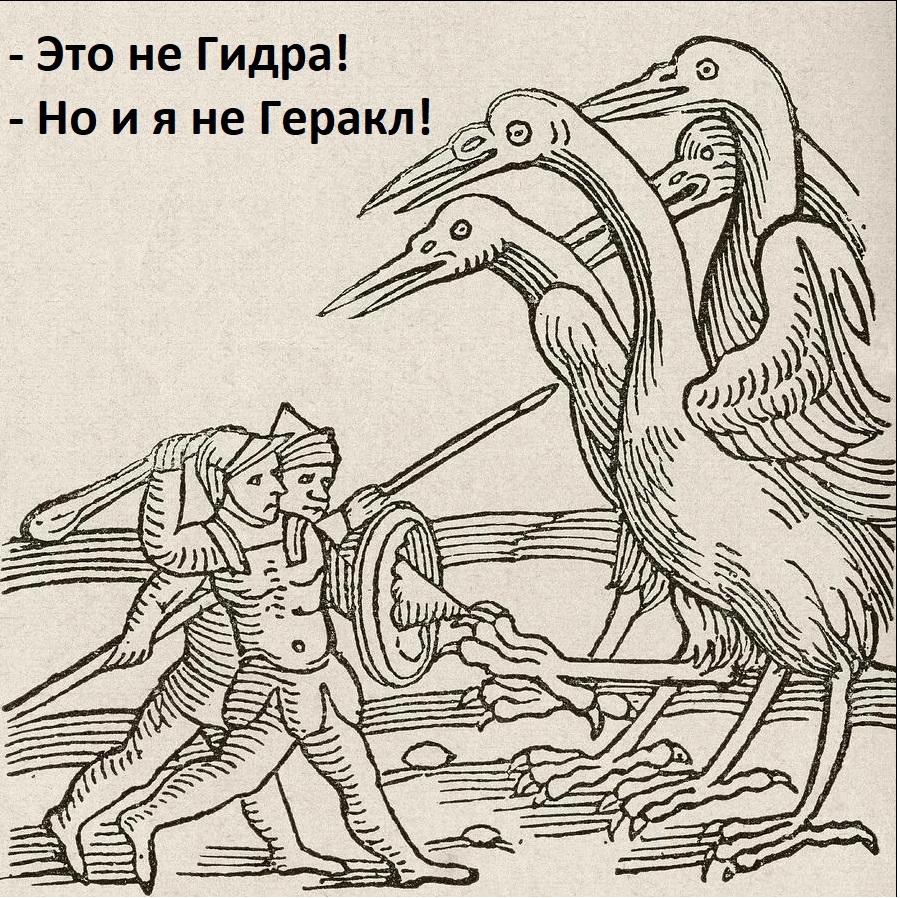 Как выводить деньги с кракена